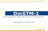 Multiplexador SDH de Nueva Generación DmSTM-1 Topologia y Proteción.