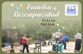 Alicia Molina. Crecer con un hijo con discapacidad moviliza todos los recursos familiares: Físicos Económicos Afectivos Espirituales Sociales Creativos.