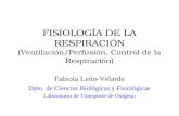 FISIOLOGÍA DE LA RESPIRACIÓN (Ventilación/Perfusión, Control de la Respiración) Fabiola León-Velarde Dpto. de Ciencias Biológicas y Fisiológicas Laboratorio.