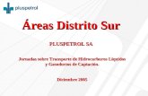 Jornadas sobre Transporte de Hidrocarburos Líquidos y Gasoductos de Captación. Diciembre 2005 Áreas Distrito Sur PLUSPETROL SA.