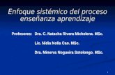 1 Profesores: Dra. C. Natacha Rivera Michelena. MSc. Lic. Nidia Nolla Cao. MSc. Dra. Minerva Nogueira Sotolongo. MSc. Profesores: Dra. C. Natacha Rivera.