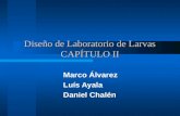 Diseño de Laboratorio de Larvas CAPÍTULO II Marco Álvarez Luís Ayala Daniel Chalén.