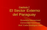 Capítulo 7 El Sector Externo del Paraguay Economía Internacional Universidad Americana Prof. Carlos Rodríguez Báez.