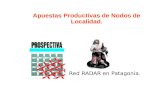 Red RADAR en Patagonia. Apuestas Productivas de Nodos de Localidad.