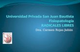 Dra. Carmen Rojas Julián. Radicales Libres Definición: Los radicales libres son moléculas inestables y muy reactivas. Para conseguir la estabilidad modifican.