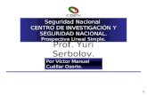 1 Seguridad Nacional CENTRO DE INVESTIGACIÓN Y SEGURIDAD NACIONAL. Prospectiva Lineal Simple. Prof. Yuri Serbolov. 10 /5/2001. Por Víctor Manuel Cuéllar.