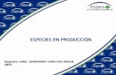 ESPECIES EN PRODUCCIÓN Registro UMA: SEMARNAT-UMA-VIV-00034-QRO.
