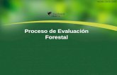 Proceso de Evaluación Forestal Versión: 09-02-2008.