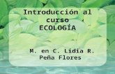 Introducción al curso ECOLOGÍA M. en C. Lidia R. Peña Flores.