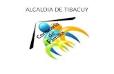 ALCALDIA DE TIBACUY. AUDIENCIAS DE CONCILIACIÓN.