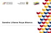 Sandra Liliana Roya Blanco. Ley 1474 de 2011 ESTATUTO ANTICORRUPCIÓN Por la cual se dictan normas orientadas a fortalecer los mecanismos de prevención,