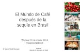 Webinar después de la sequía en Brasil NovoTRADE Consult Webinar 31 de marzo 2014 Progreso Network El Mundo de Café después de la sequía en Brasil.