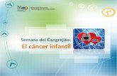 Semana del Cangrejito: El cáncer infantil. Presentación Este recurso presenta material acerca del cáncer infantil, causas, síntomas entre otros, como.