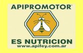 APIPROMOTOR ® es suplemento de polen en su mayor valor proteico Aminoácidos + Vitaminas Fácil aplicación Recuperar, Reforzar e Incentivar Incorporándolo.