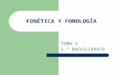 FONÉTICA Y FONOLOGÍA TEMA 3 1.º BACHILLERATO. NIVELES DE ESTUDIO DE LA LENGUA: LA GRAMÁTICA NIVEL FÓNICOFONÉTICA Y FONOLOGÍA NIVEL MORFOLÓGICOMORFOLOGÍA.