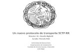 Un nuevo protocolo de transporte SCTP-RR Director: Dr. Claudio Righetti Jurado: Marcelo Risk Universidad de Buenos Aires Departamento de Computación Facultad.