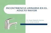 INCONTINENCIA URINARIA EN EL ADULTO MAYOR Dr. Hugo Madueño Zamora H. E. Grau Essalud.