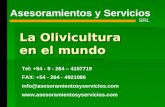 La Olivicultura en el mundo Asesoramientos y Servicios SRL Tel: +54 - 9 - 264 – 4157719 FAX: +54 - 264 - 4921086 info@asesoramientosyservicios.com .