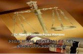 PRINCIPIOS GENERALES DEL DERECHO PROCESAL Dr. Marco Antonio Pérez Ramírez.