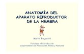 Aparato-reproductor Femenino Clase