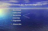 Funciones básicas del Aparato Digestivo Motilidad Motilidadendocrina Secreción Secreciónexocrina Digestión Digestión Absorción Absorción.