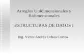 Arreglos Unidimensionales y Bidimensionales ESTRUCTURAS DE DATOS I Ing. Víctor Andrés Ochoa Correa.