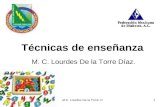 M.C. Lourdes De la Torre :D1 Técnicas de enseñanza M. C. Lourdes De la Torre Díaz.
