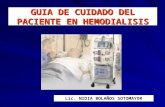 Lic. NIDIA BOLAÑOS SOTOMAYOR GUIA DE CUIDADO DEL PACIENTE EN HEMODIALISIS.