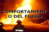 Comportamiento Del Fuego - Fap 2006