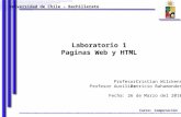 Laboratorio 1 Paginas Web y HTML Universidad de Chile – Bachillerato Curso: Computación Cristian Wilckens Patricio Bahamondes Fecha: 26 de Marzo del 2010.