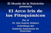 El Arco Iris de los Fitoquímicos Por el Dr. Idel Suárez Moleiro Nutriólogo del Instituto Americano de Nutrición El Mundo de la Nutrición presenta.