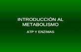 INTRODUCCIÓN AL METABOLISMO ATP Y ENZIMAS. 1. CONCEPTO DE METABOLISMO Se denomina metabolismo al conjunto de reacciones químicas que se producen en el.