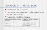 Necrosis en médula ósea Incidencia de 0,5-37% Necrosis extensas asociada a neoplasia, SIDA, metástasis Isquemia factor principal Oclusión vascular amenia.