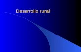 Desarrollo rural Dos cambios esenciales del entorno: Las reformas económicas e institucionales Programas ajuste estructural Apertura económica Promoción.