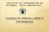 COLECTIVO DE COORDINACIÓN DE ACCIONES SOCIO AMBIENTALES.