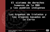 Pueblos indígenas y tribales |  |  El sistema de derechos humanos de la ONU y los pueblos indígenas Los órganos de.