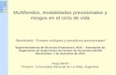Multifondos, modalidades previsionales y riesgos en el ciclo de vida Seminario: Fondos múltiples y beneficios previsionales Superintendencia de Servicios.