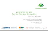 EXPERTOS EN RED Red de Energías Renovables Christian Parra M. Taller Presencial Plataforma Regional del Conocimiento: Expertos en Red 20 - 21 de marzo.
