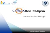 Red Calipso - Ciudad Real, Otoño de 2007 Universidad de Málaga.