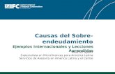 Causas del Sobre-endeudamiento Martin Spahr Expecialista en Microfinanzas para America Latina Servicios de Asesoria en America Latina y el Caribe Ejemplos.