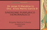 Dr. Jorge O Mandina LL Dra..Enda Marilù Garcìa B SINDROME PURPURICO HEMORRAGICO Brigada Medica Cubana Guatemala 2007 Trabajo publicado en .