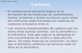 Carbono El carbono es el elemento básico en la formación de las moléculas de carbohidratos, lípidos, proteínas y ácidos nucleicos; pues todas las moléculas.