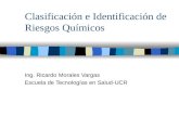 Clasificación e Identificación de Riesgos Químicos Ing. Ricardo Morales Vargas Escuela de Tecnologías en Salud-UCR.