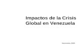 Impactos de la Crisis Global en Venezuela Noviembre, 2009.