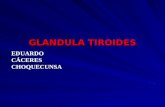 EDUARDO CÁCERES CHOQUECUNSA GLANDULA TIROIDES. CONSIDERACIONES GENERALES.