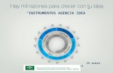 INSTRUMENTOS AGENCIA IDEA 25 enero 2013. Agencia IDEA Apoyo al empresariado andaluz: Gestión y concesión de incentivos a fondo perdido y prestamos a las.