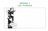 UI Preprimaria - Unidad 7 - Las Plantas