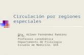 Circulación por regiones especiales Dra. Aileen Fernández Ramírez M.Sc. Profesora catedrática Departamento de Fisiología Escuela de Medicina, UCR.