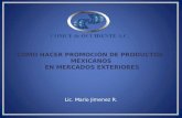 COMO HACER PROMOCIÓN DE PRODUCTOS MEXICANOS EN MERCADOS EXTERIORES Lic. Mario Jimenez R.