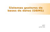 Sistemas gestores de bases de datos (DBMS) pkt julio05.